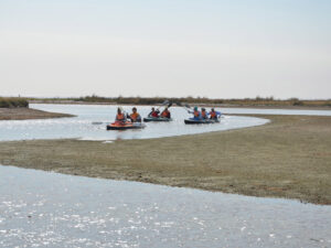 07-parus-02