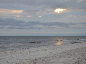 07-parus-03