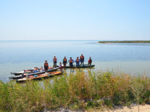 07-parus-06