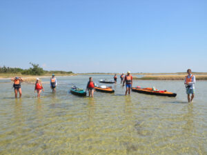 07-parus-07