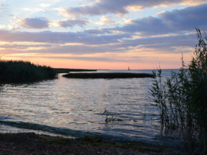 07-parus-09